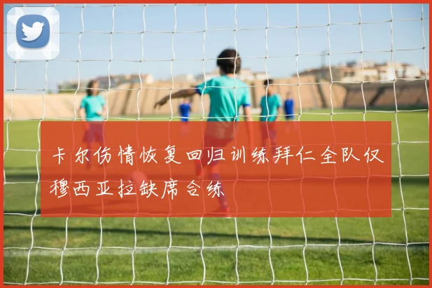 卡尔伤情恢复回归训练拜仁全队仅穆西亚拉缺席合练