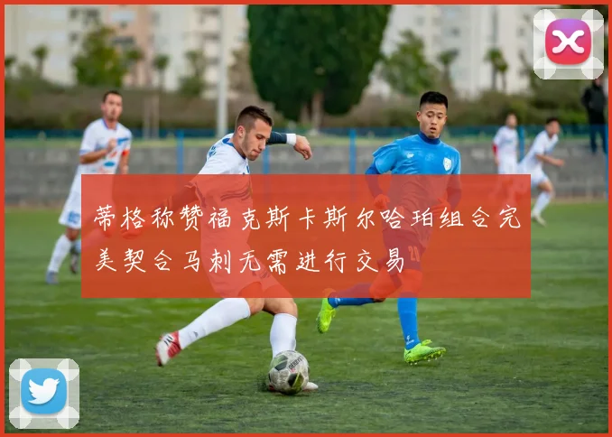 蒂格称赞福克斯卡斯尔哈珀组合完美契合马刺无需进行交易