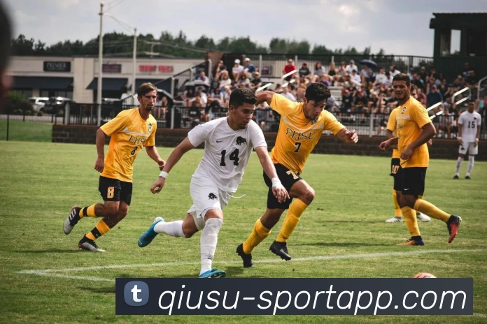 球速体育平台生态图